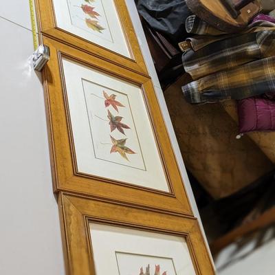 Sweet Collection of Quality Framed Leaves