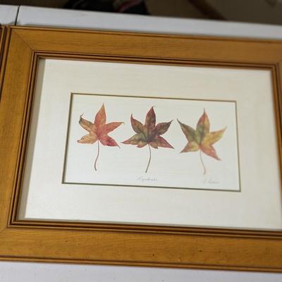 Sweet Collection of Quality Framed Leaves