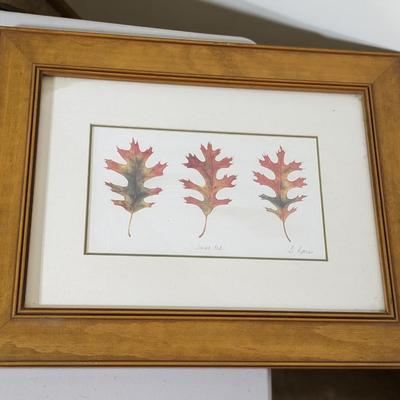 Sweet Collection of Quality Framed Leaves