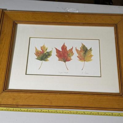 Sweet Collection of Quality Framed Leaves
