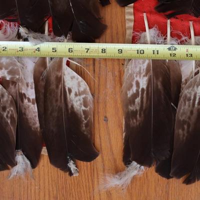 Native American Sioux Crow Bustle
