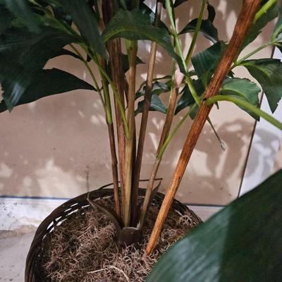Pair of Silk Bushes (LR-DW)
