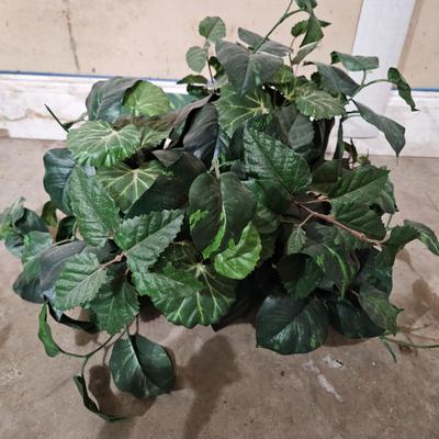 10 Faux Ivy Plants (LR-DW)