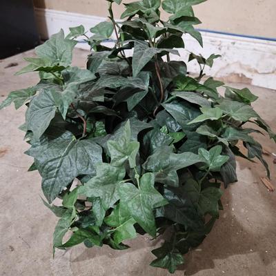 10 Faux Ivy Plants (LR-DW)