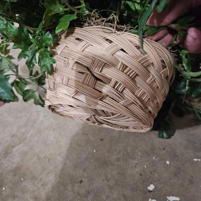 10 Faux Ivy Plants (LR-DW)
