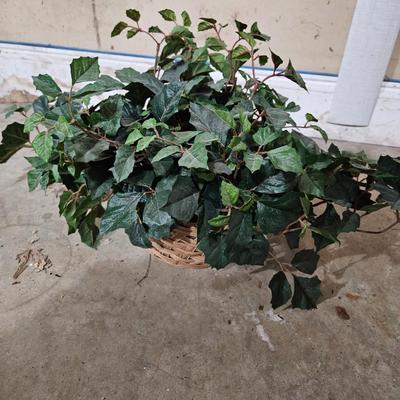 10 Faux Ivy Plants (LR-DW)
