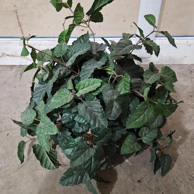 10 Faux Ivy Plants (LR-DW)