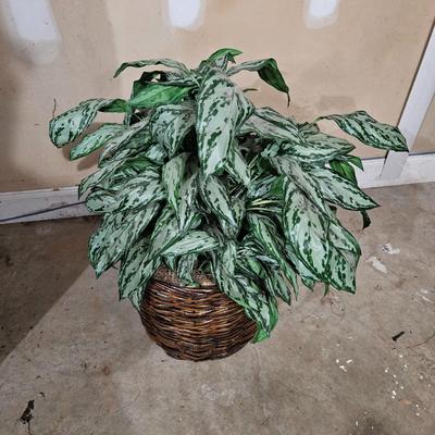 Assortment of Faux Tropical Plants (LR-DW)