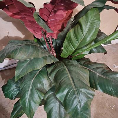 Assortment of Faux Tropical Plants (LR-DW)