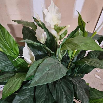 Assortment of Faux Tropical Plants (LR-DW)