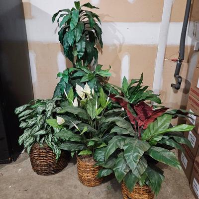 Assortment of Faux Tropical Plants (LR-DW)