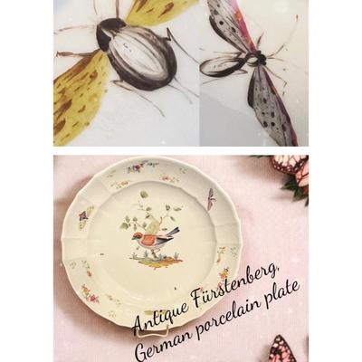 Antique Furstenberg German Porcelain Plate