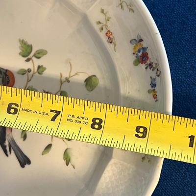 Antique Furstenberg German Porcelain Plate