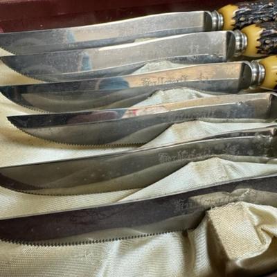 Set of 6 knives made by W Richardson, Sheffield England with horn like handles