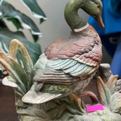 Duck Book lot