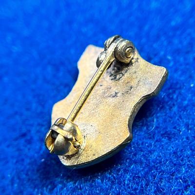 ENAMELED RAISED KNIGHT DESIGN "I K" FRATERNITY PIN