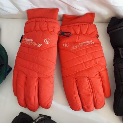 Scott USA and Gordini Ski Gloves and more (G-BBL)