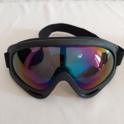 Oakley Ski Goggles (G-BBL)