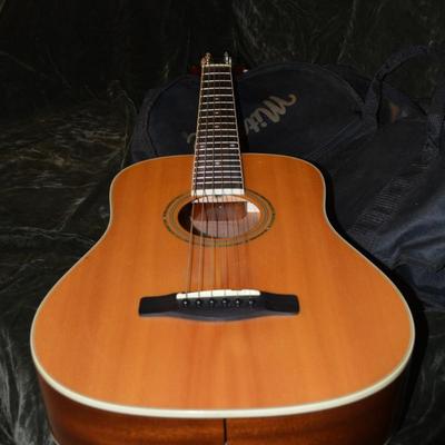 MITCHELL MDJ-10 Junior Dreadnought Â¾ Acoustic Guitar w/ Gig Bag