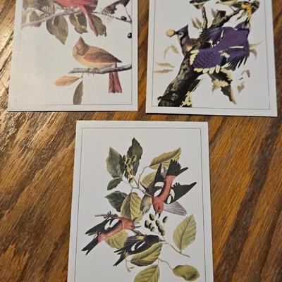 John James Audubon Lithographs