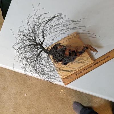 Wire Art â€“ Bonsai Tree on Driftwood Sculpture by Jim Beghtol