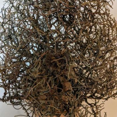 Carol L Mickey Wire Art Tree in Coconut Shell