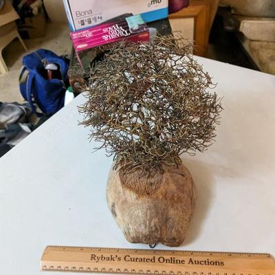 Carol L Mickey Wire Art Tree in Coconut Shell