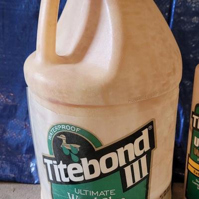 Wood Glues, Gorilla Glue, & Wood Repair Epoxy Putty Stick