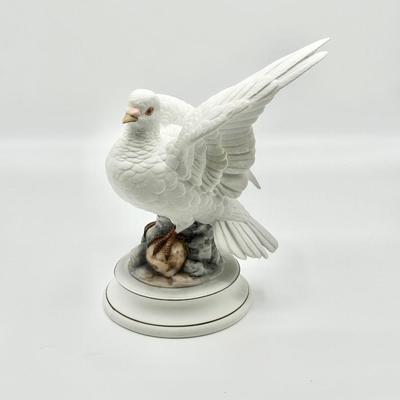 White Dove by Andrea