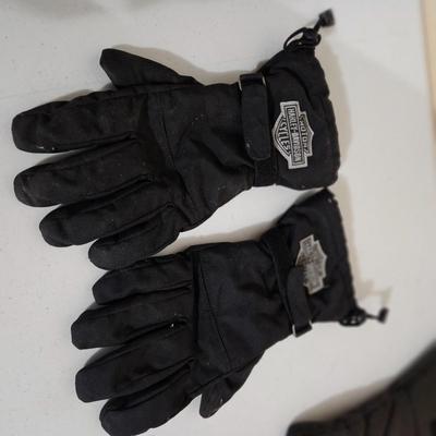 Motorcycle Gloves (G-DW)