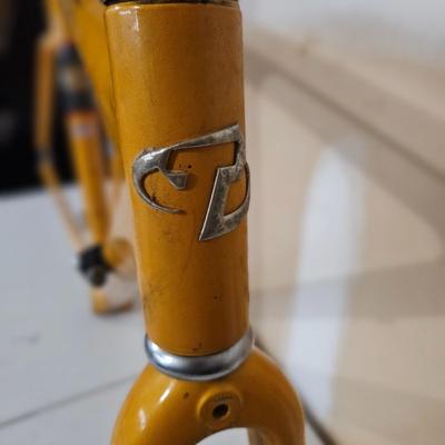 Trek 5000 OCLV Carbon Frame (G-DW)