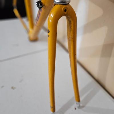 Trek 5000 OCLV Carbon Frame (G-DW)