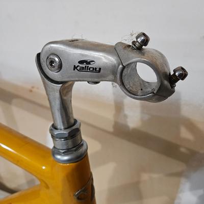 Trek 5000 OCLV Carbon Frame (G-DW)
