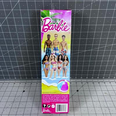 BARBIE New in the Package 2013 
