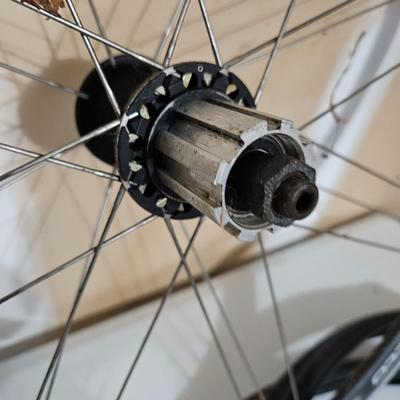 Campagnolo Scirocco G3 Wheelset and More (G-DW)