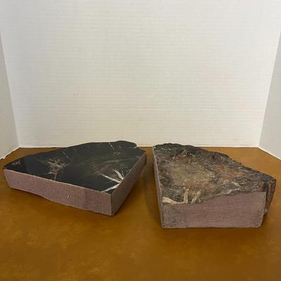 Polished Petrified Wood Bookends
