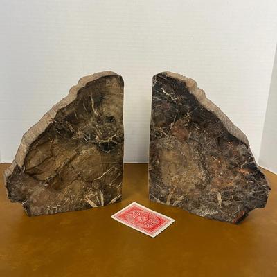 Polished Petrified Wood Bookends