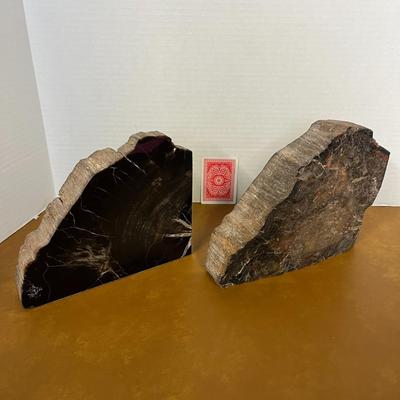 Polished Petrified Wood Bookends