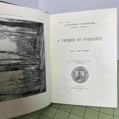 Vintage Educational/School Books