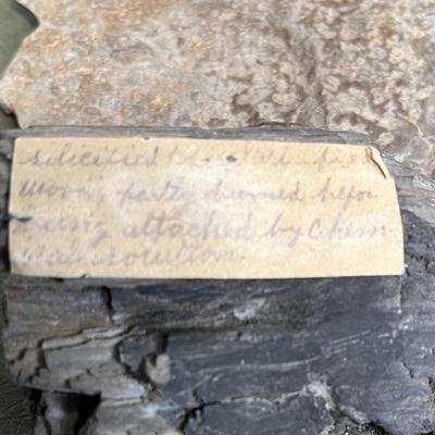 Lot of Rocks and Fossils and Petrified Wood