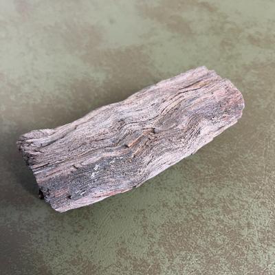 Lot of Rocks and Fossils and Petrified Wood