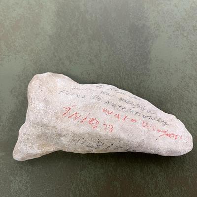 Lot of Rocks and Fossils and Petrified Wood
