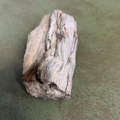Lot of Rocks and Fossils and Petrified Wood
