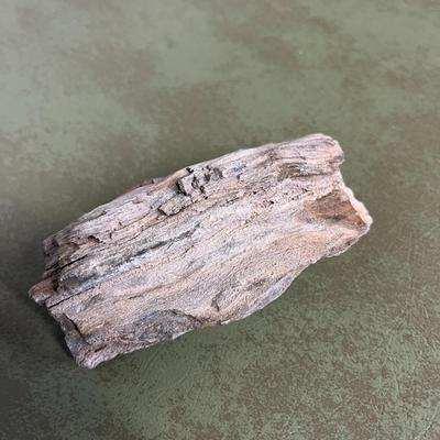 Lot of Rocks and Fossils and Petrified Wood