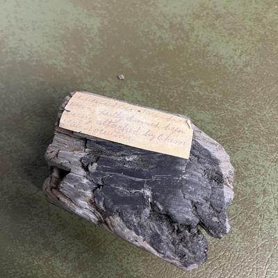 Lot of Rocks and Fossils and Petrified Wood