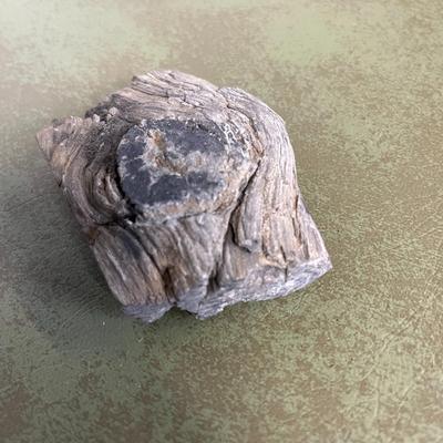 Lot of Rocks and Fossils and Petrified Wood