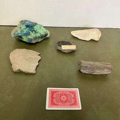 Lot of Rocks and Fossils and Petrified Wood