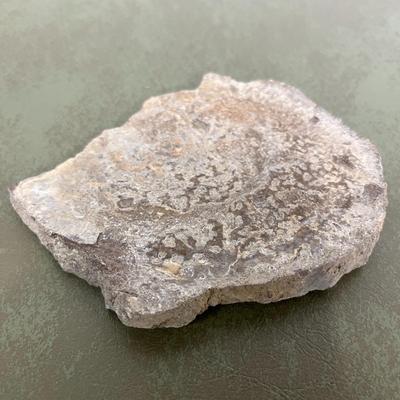 Lot of Rocks and Fossils and Petrified Wood
