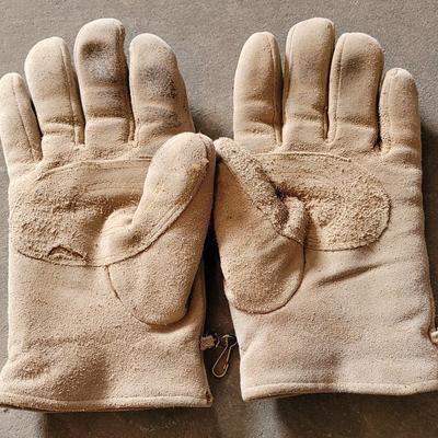 Work Gloves (2), Safety Glasses (2), and Ear Plugs