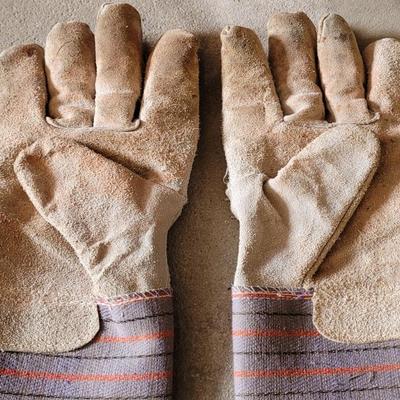 Work Gloves (2), Safety Glasses (2), and Ear Plugs